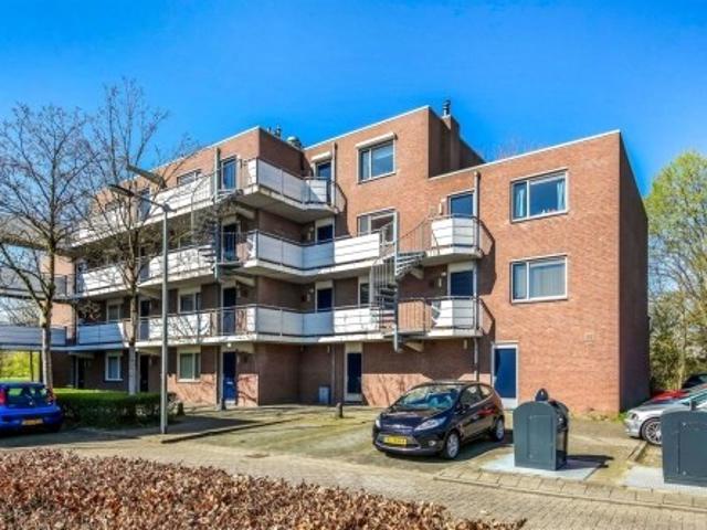 Appartement te huur in Arnhem