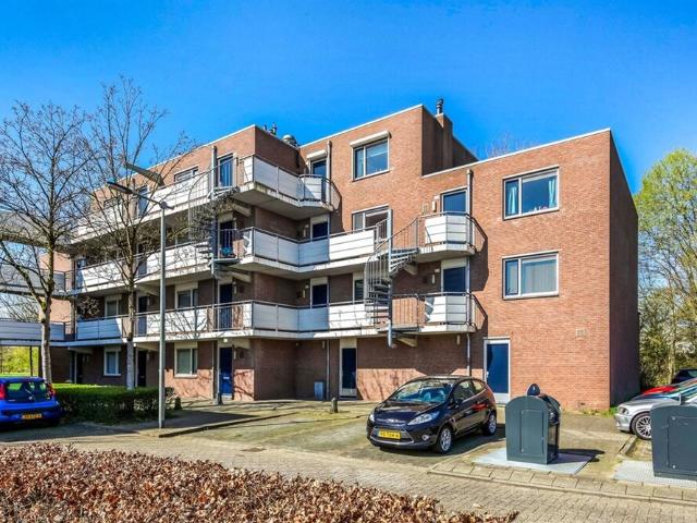 Appartement te huur in Arnhem