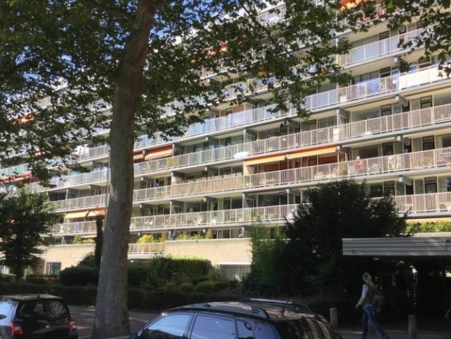 Appartement te huur in Den Haag