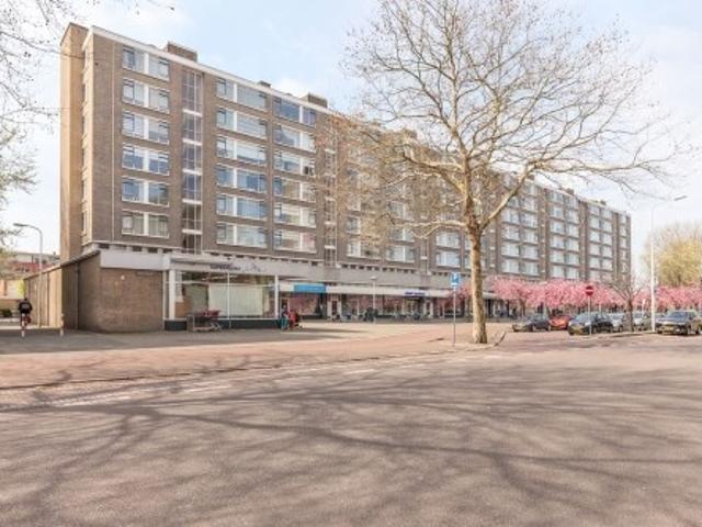 Appartement te huur in Den Haag