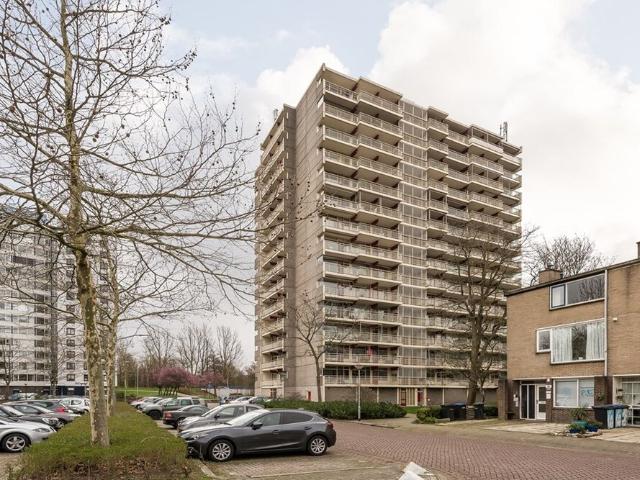 Appartement te huur in Dordrecht