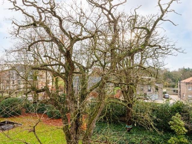 Appartement te huur in Eeklo voor € 950 met 1 slaapkamer