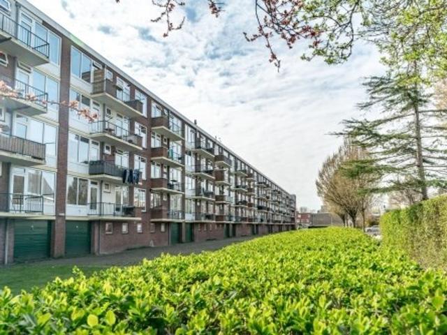 Appartement te huur in Leiden
