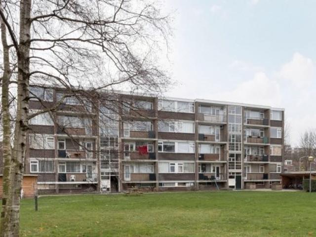 Appartement te huur in Leiden