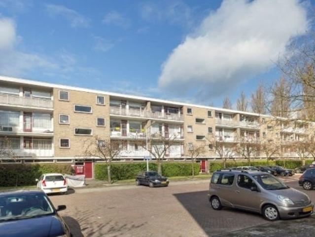 Appartement te huur in Leiden