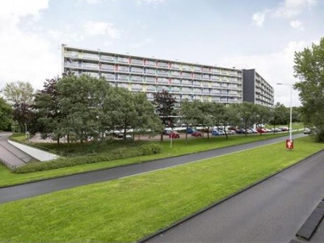 Appartement te huur in Leiden