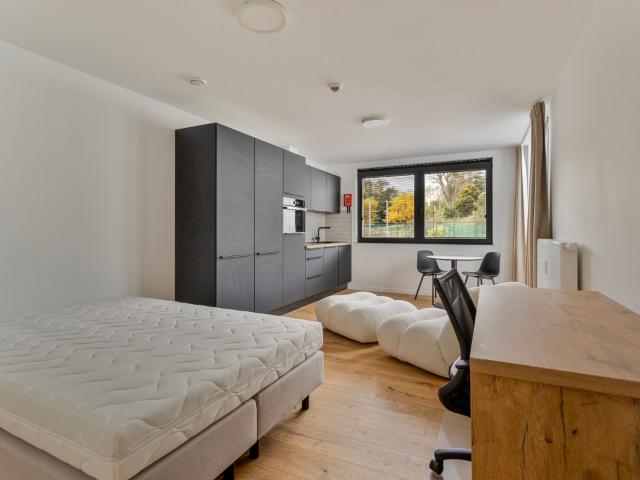 Appartement te huur in Leuven met 1 slaapkamer