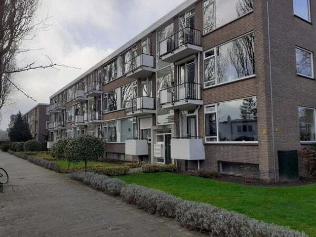 Appartement te huur in Rotterdam