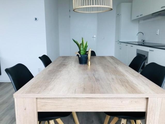 Appartement te huur in Rotterdam