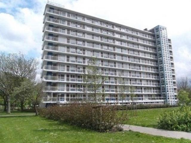 Appartement te huur in Rotterdam