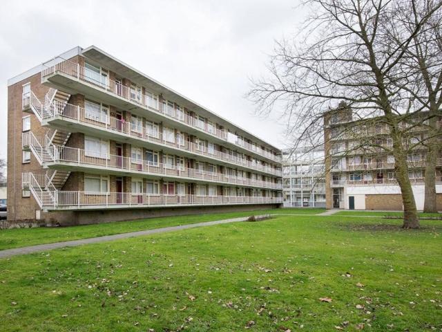 Appartement te huur in Rotterdam