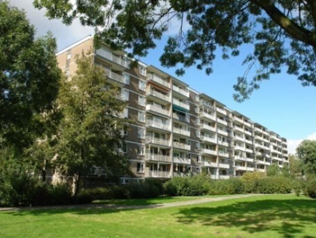 Appartement te huur in Rotterdam