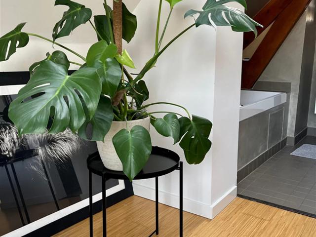 Appartement te huur in Rotterdam