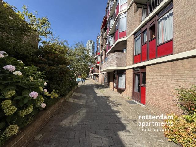 Appartement te huur in Rotterdam