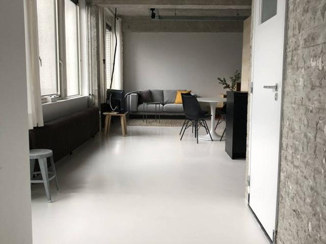 Appartement te huur Professor Pieter Willemsstraat in Maastricht voor € 1.495