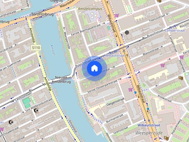 Appartement te huur: Swammerdamstraat 70 A 1091 RW Amsterdam