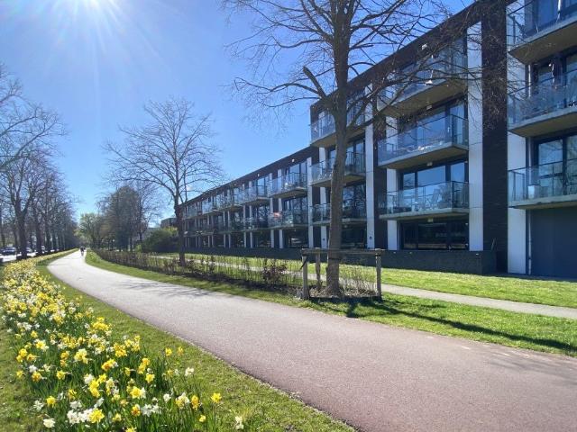 Appartement te huur Selhorstweg in Harderwijk voor € 1.167