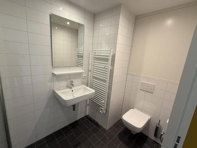 apartment for rent in Haparandaweg 250 1013BD Amsterdam Houthavens West Amsterdam