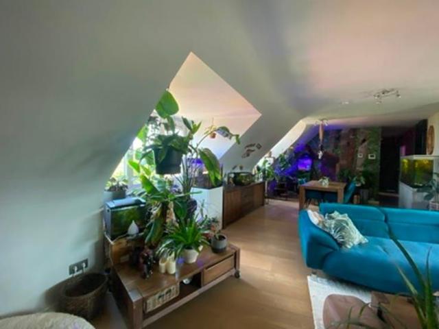 Appartement te huur