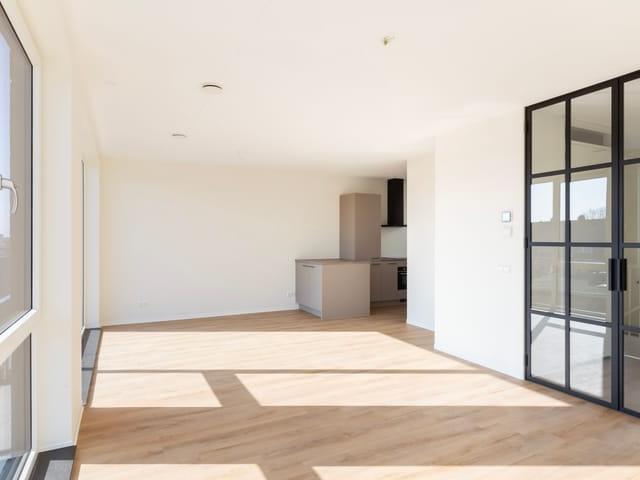 apartment for rent in Tesselsestraat 65 W 2583JH Den Haag Duindorp Den Haag