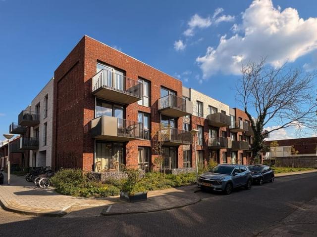 apartment for rent in Ericastraat 93 5615 BJ Eindhoven Bloemenplein