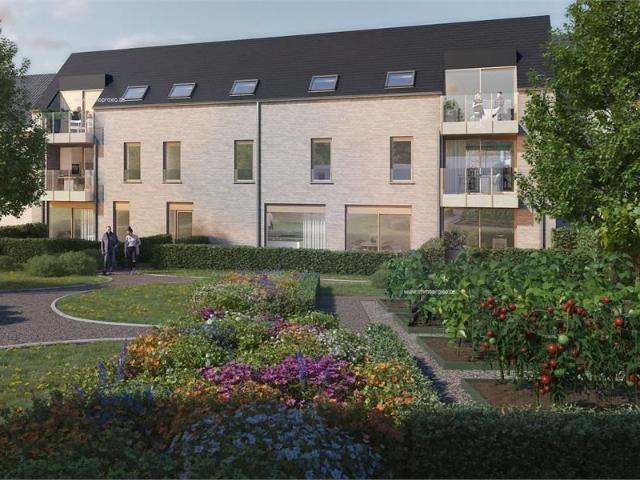 Appartement Te koop Oudenaarde
