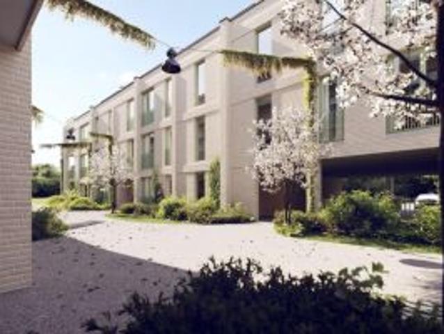 Appartement te koop in Lokeren 9160