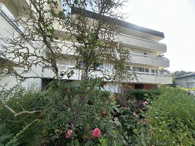 Appartement terrasse + balcons