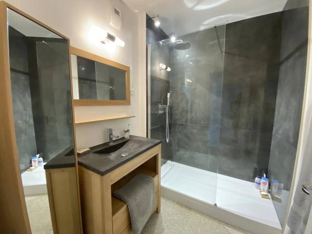 APPARTEMENT TYPE 3 MEUBLE QUARTIER CARNOT