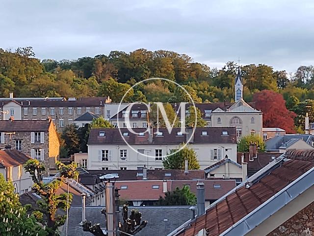 APPARTEMENT VERSAILLES SAINT LOUIS