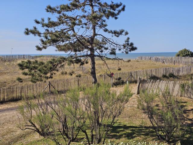APPARTEMENT VUE MER CABOURG