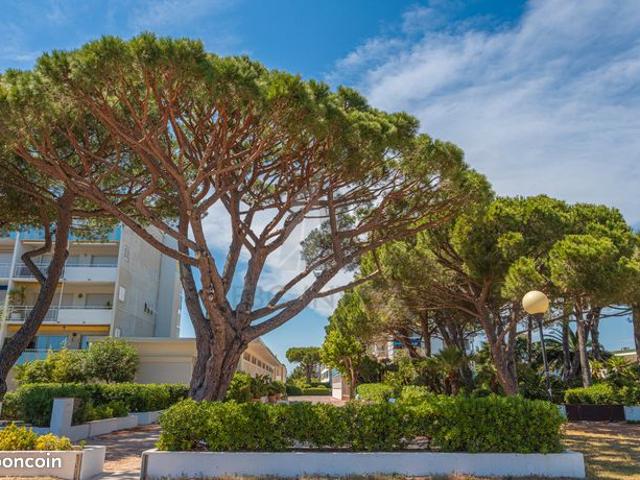 Appartement vue mer/port accès plage