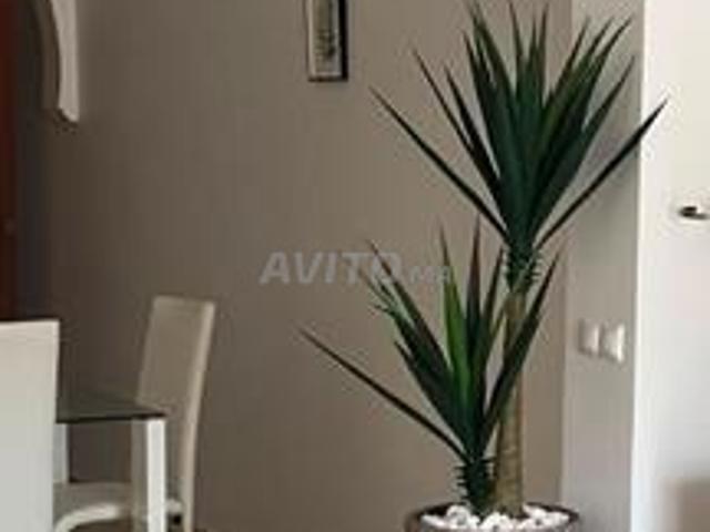 Appartement à Marina