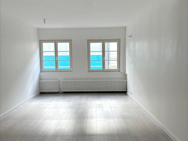 ▷ Appartement à louer • Metz Centre Ville • 45 m² • 590 € | immoRegion