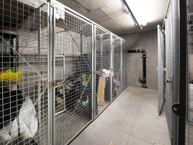 Appartement à louer à Montréal Ville Marie