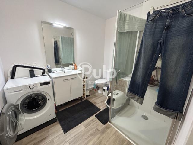 appartement à louer à saint laurent blangy