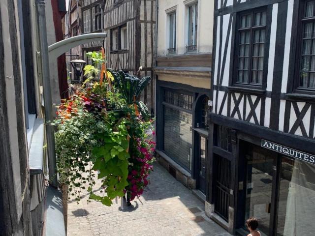 Appartement à louer à Rouen, Normandie, 0€