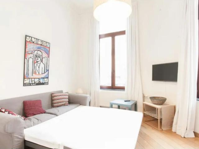 Appartement à louer à Rue Berckmans Saint Gilles