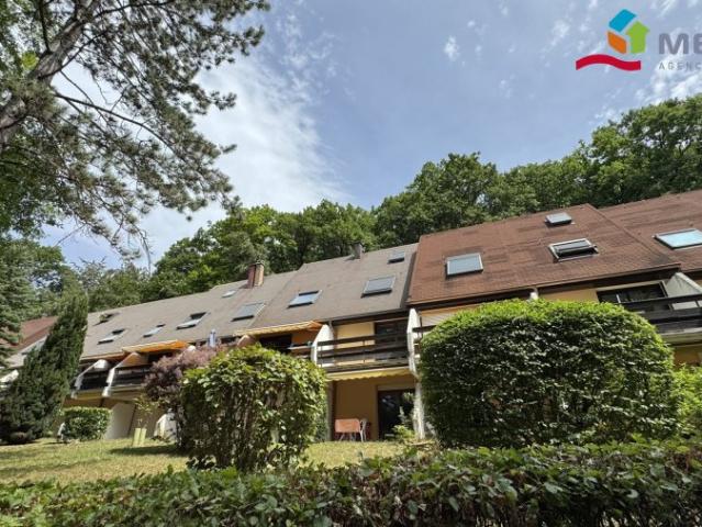 ▷ Appartement à louer • Boersch • 54 m² • 870 € | immoRegion