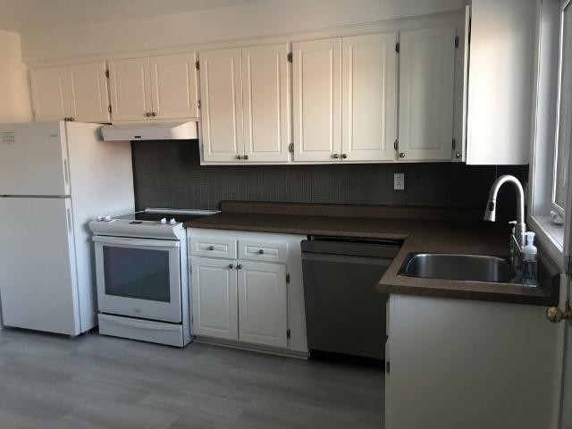 Appartement à Louer Boulevard Rosemont, Mercier/Hochelaga Maisonneuve Montréal 17 photos | Logis Québec