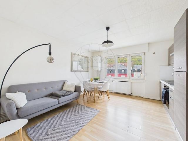 ▷ Appartement à louer • Knutange • 43 m² • 720 € | immoRegion