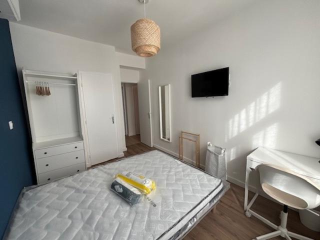 ▷ Appartement à louer • Lille • 18 m² • 600 € | immoRegion