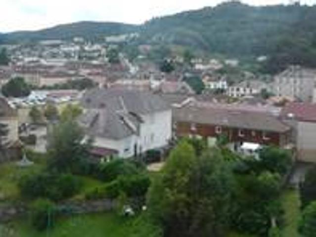 ▷ Appartement à louer • Remiremont • 360 € | immoRegion