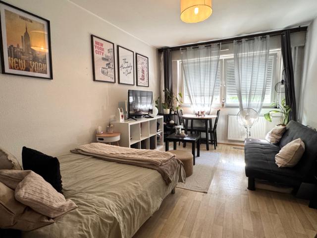 ▷ Appartement à louer • Strasbourg • 22 m² • 580 € | immoRegion