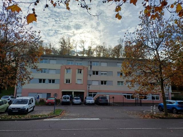 ▷ Appartement à louer • Saint Avold • 19 m² • 365 € | immoRegion