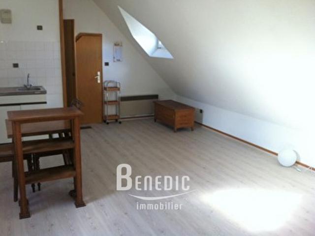 ▷ Appartement à louer • Sarreguemines • 21 m² • 340 € | immoRegion