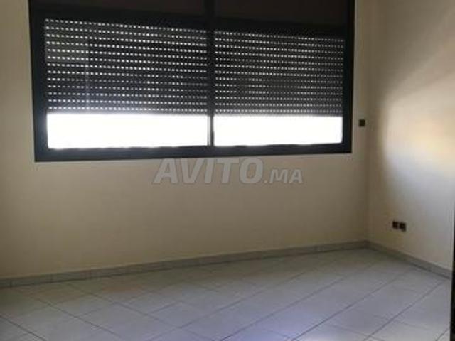Appartement à louer vide à belvédère