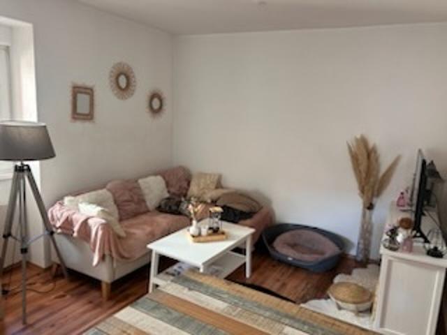 ▷ Appartement à louer • Wintzenheim • 39 m² • 620 € | immoRegion
