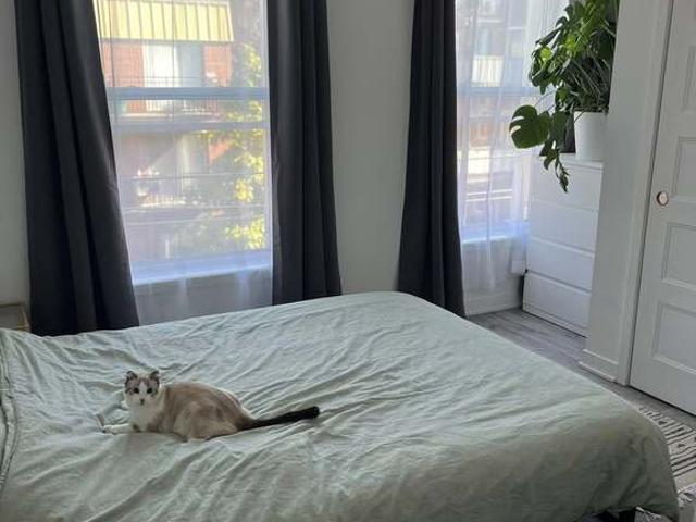 Appartement à Louer 1664 rue poupart, Ville Marie Centre Ville, Vieux Montréal 8 photos | Logis Québec