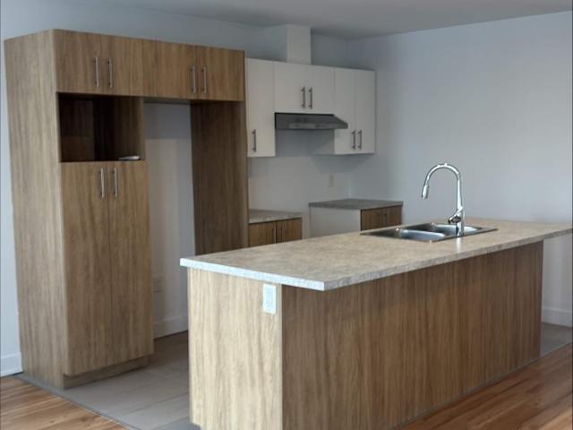 Appartement à Louer 16 Rang de la Côte Saint Louis Saint Esprit, Saint Esprit 12 photos | Logis Québec